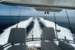 287606603 1889341851256917 n