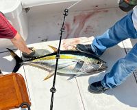 287813875 1890742521116850 n