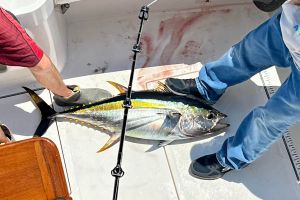 287813875 1890742521116850 n