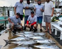 288366825 1890742511116851 n