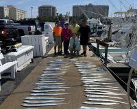 296057984 1921830101341425 n