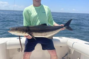 296797312 1925267300997705 n