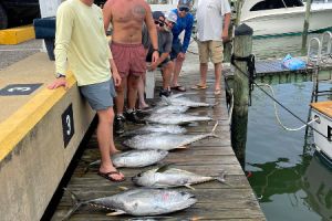 513684035 764278305925637 n