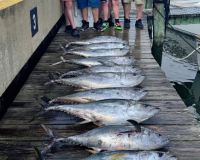 514239027 765832505770217 n