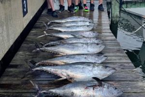 514239027 765832505770217 n