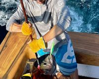 514251561 767507492269385 n