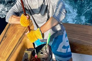 514251561 767507492269385 n