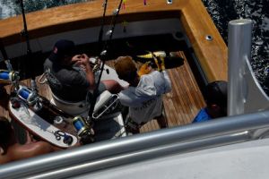 514276775 764279299258871 n