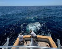 514479305 766690239017777 n