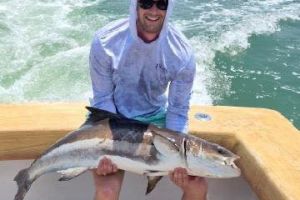 517309501 772905211729613 n