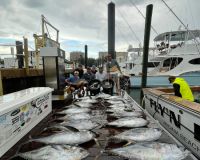 517641521 778200721200062 n