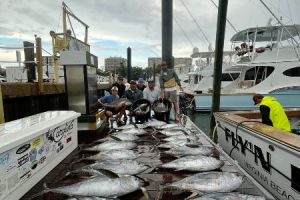 517641521 778200721200062 n