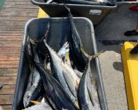 518361575 778938367792964 n