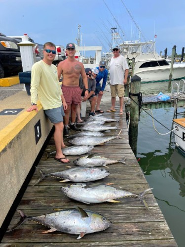 513684035 764278305925637 n