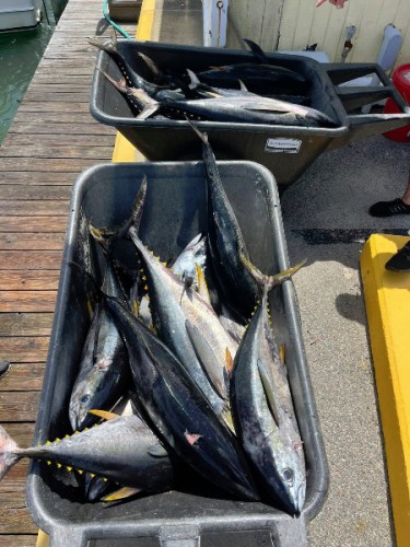 518361575 778938367792964 n