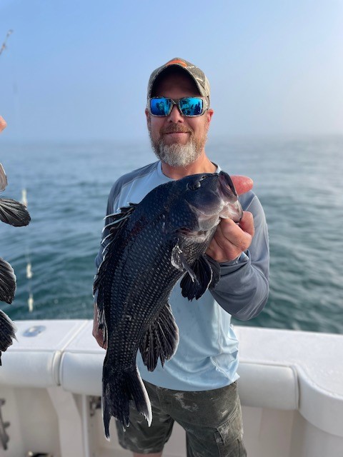 seabass.jpg