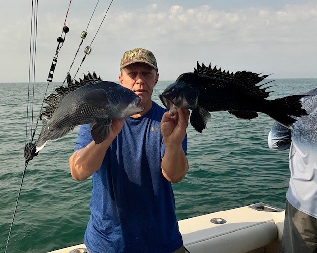 seabass5-20-22.jpg