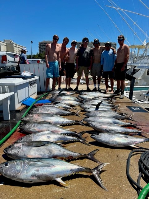 tuna5-29-22.jpg